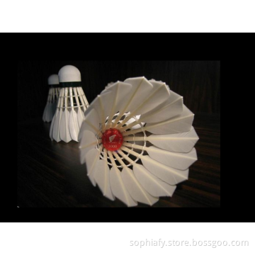 Junbei3000 Badiminton Amateur Training Ball